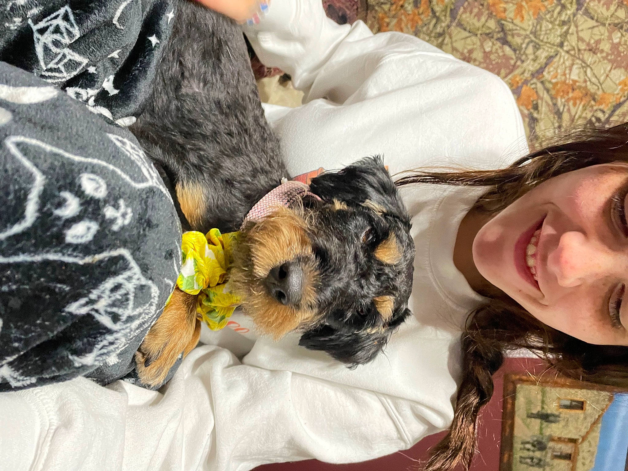 Bethany joined the competition — help win amazing prizes! canidae, carnivore, comfort, companion_dog, dog, dog_breed, fur, happy, hat, puppy, small_terrier, smile, sporting_group, terrier, toy_dog, tree