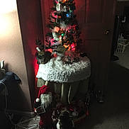 Whiskers is registered to the contest to win money with this photo: cat, christmas_tree, holiday_decorations, santa_figurine, indoor, carpet, table, lights, ornaments, wall, door, decor, festive, animal, pet, curious, dim_lighting, cozy, winter, celebration