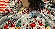 Whiskers is registered to the contest to win money with this photo: cat, blanket, christmas, bed, furniture, indoor, striped_blanket, pattern, holiday, decor, cozy, pet, animal, soft, fabric, comfort, resting, cute, tabby_cat, warm