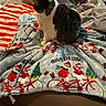 cat, blanket, christmas, bed, furniture, indoor, striped_blanket, pattern, holiday, decor, cozy, pet, animal, soft, fabric, comfort, resting, cute, tabby_cat, warm