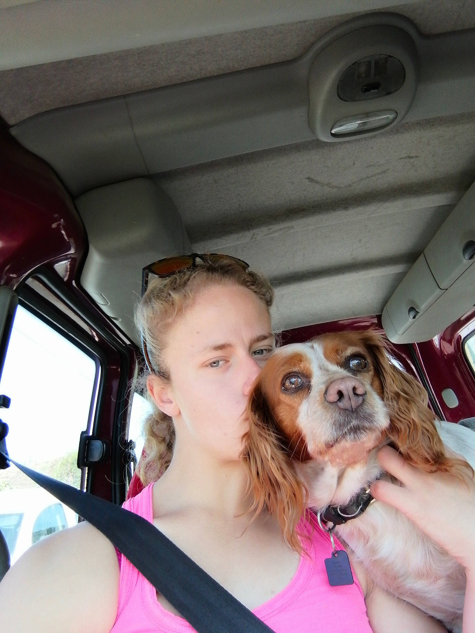 Iris a rejoint le concours — aidez-le/la à gagner de superbes lots ! canidae, car, carnivore, companion_dog, dog, fawn, puppy, puppy_love, selfie, toy_dog, vacation