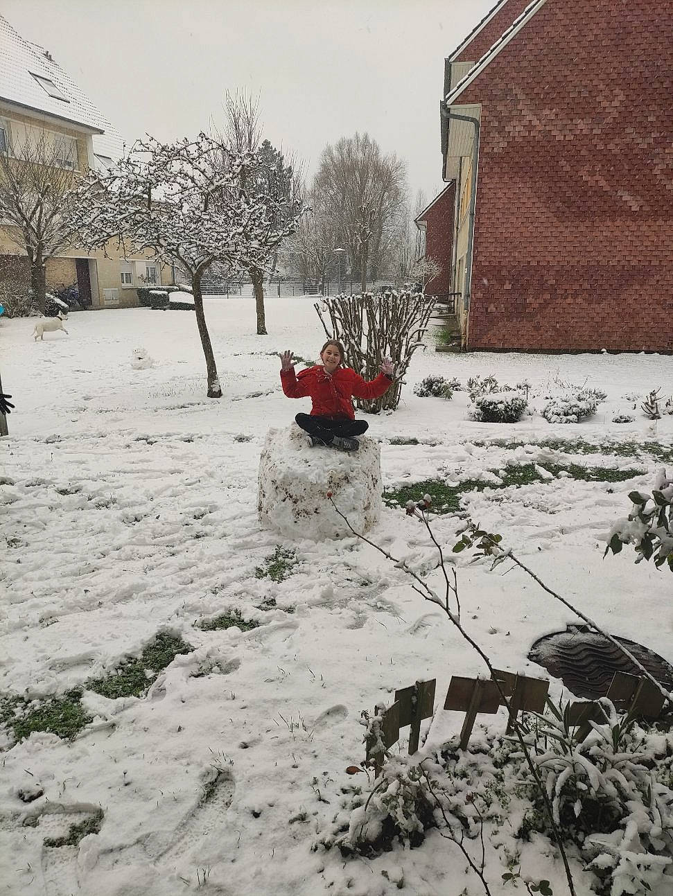 Maïlly participe au concours pour gagner de l'argent avec cette photo : building, daytime, flowerpot, freezing, frost, geological_phenomenon, grass, house, joy, landscape, neighbourhood, person, plant, residential_area, shrub, sky, snow, tints_and_shades, tree, twig