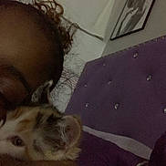 Vanessa is registered to the contest to win money with this photo: person, cat, kitten, calico, bed, headboard, purple, indoor, closeup, snuggling, sleepy, face, hair, eyebrow, framed_picture, wall, cuddling, pet, cozy, relaxing