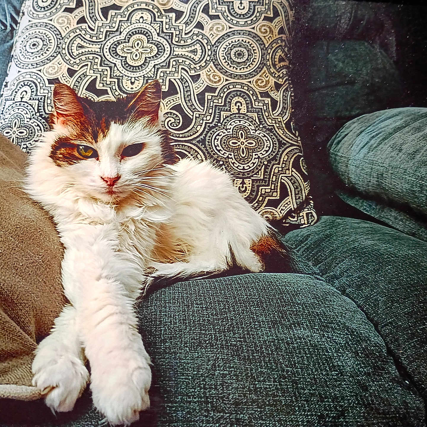 Prissy