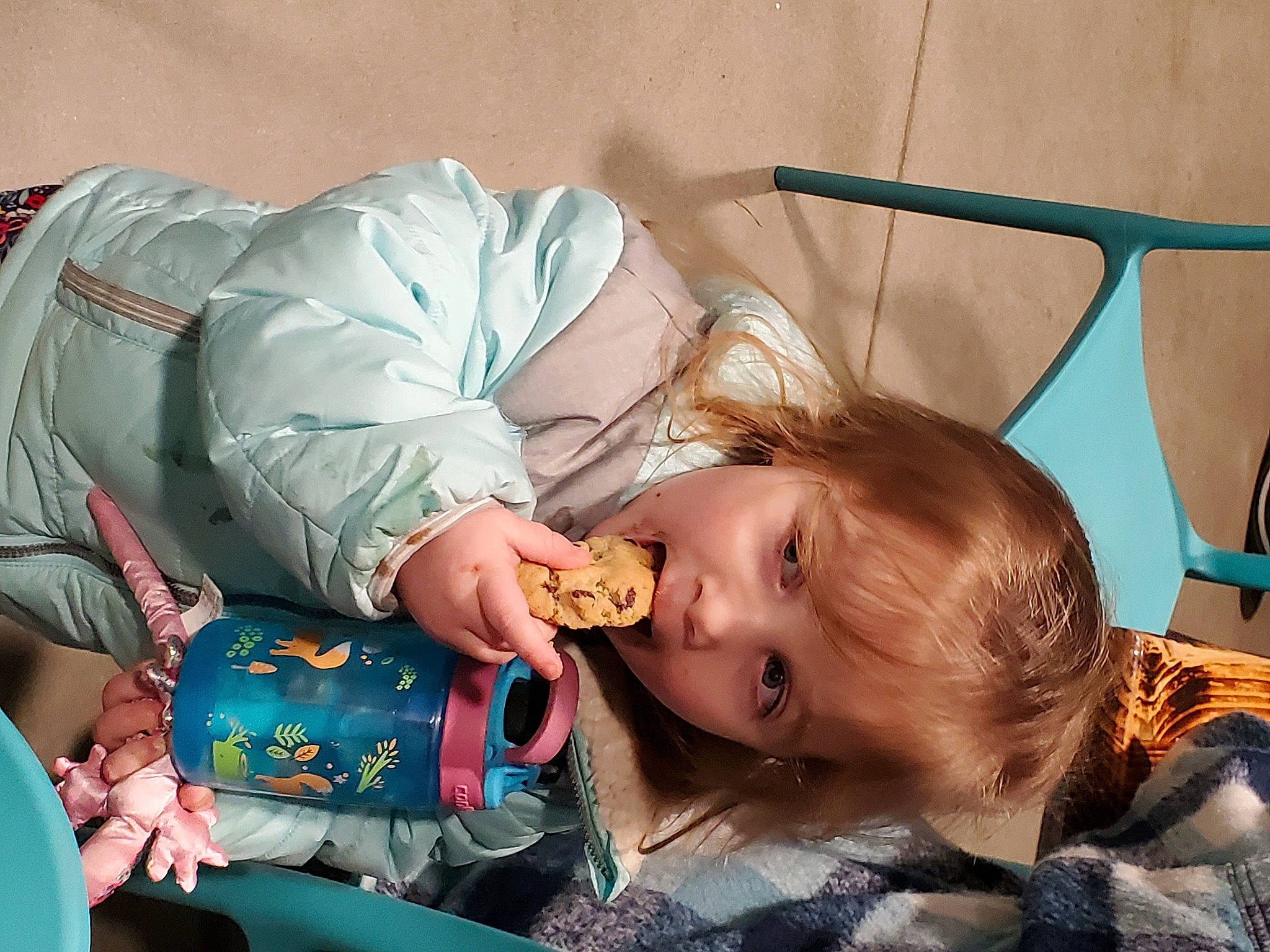 Isla joined the competition — help win amazing prizes! baby_products, bedtime, cheek, child, comfort, ear, eyelash, fashion_accessory, fun, happy, leisure, mouth, nap, person, room, sitting, sleep, toddler, vacation