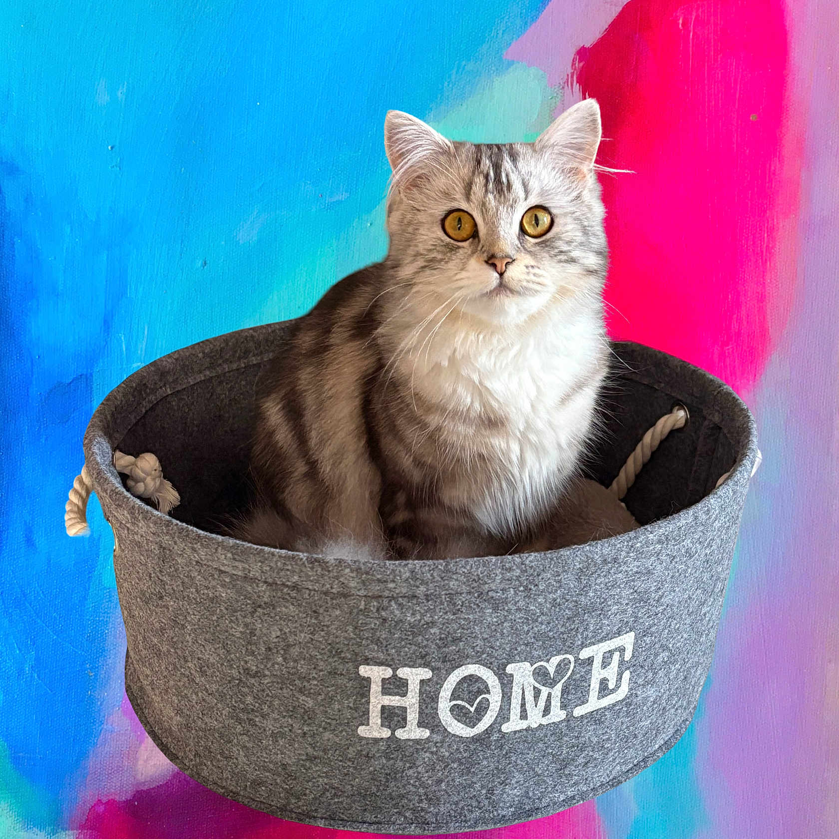 Nala