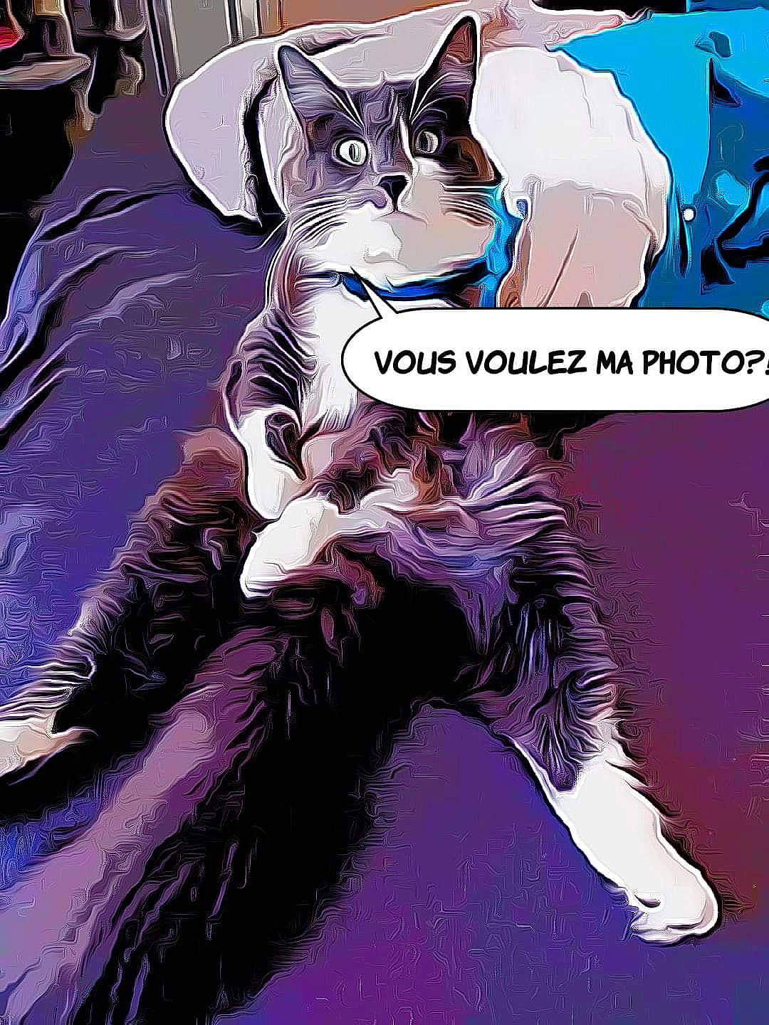 Twist participe au concours pour gagner de l'argent avec cette photo : carnivore, cat, electric_blue, event, felidae, fictional_character, fur, illustration, magenta, mammal, paw, photo_caption, pink, purple, small_to_medium_sized_cats, snout, tail, vertebrate, whiskers, witch_hat