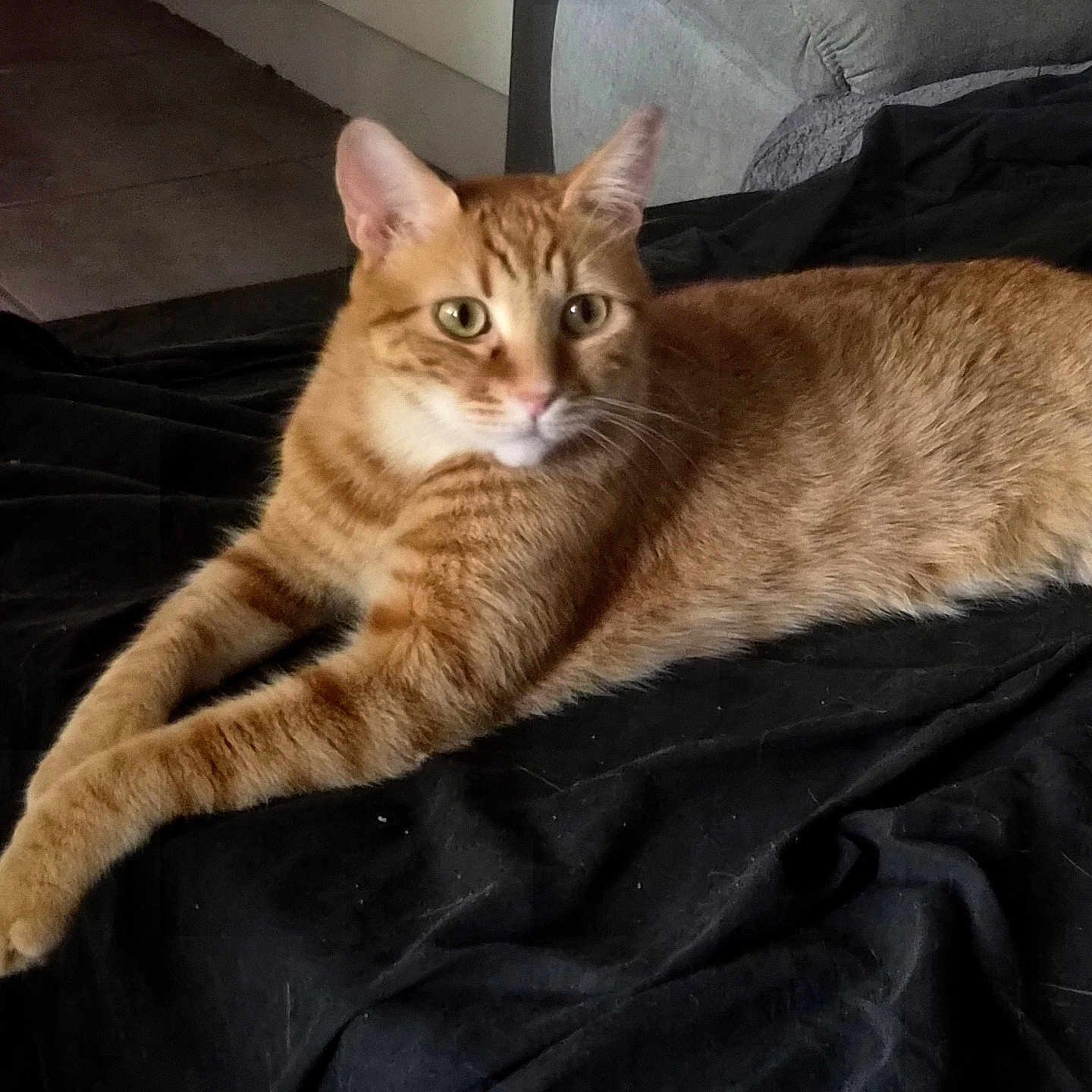 Caramel
