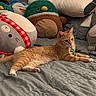 bed, bedding, blanket, cat, cozy, cute, decor, ginger_cat, indoor, lounging, nap, paws, pillow, plush, relaxed, soft, stuffed_toy, tabby, toy, whiskers