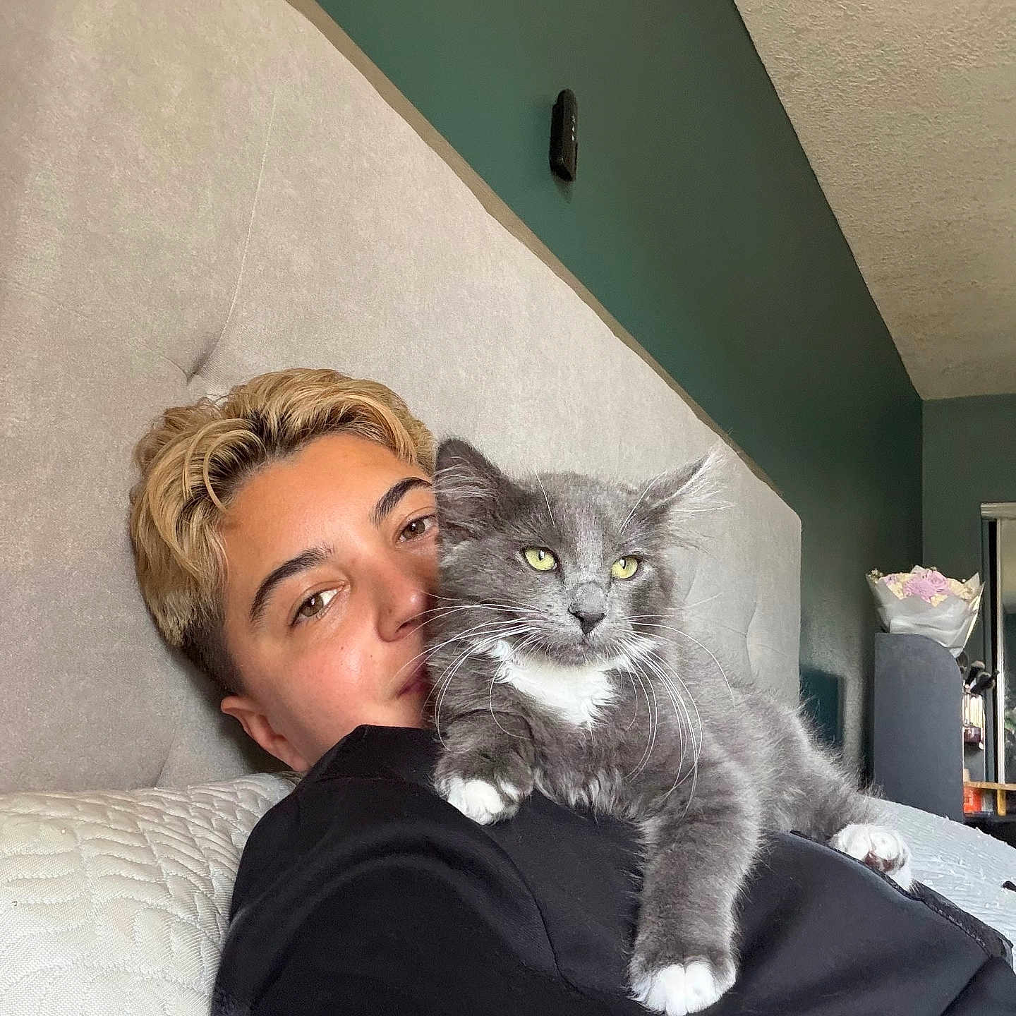Chia