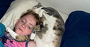 Bella joined the competition — help win amazing prizes! child, sleeping, cat, bed, blanket, pillow, indoor, rest, cozy, cute, pet, fur, snuggle, comfort, relaxation, closed_eyes, freckles, blue_blanket, pink_shirt, wall