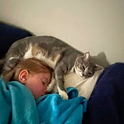 Bella is registered to the contest to win money with this photo: child, sleeping, blanket, blue_blanket, cat, gray_cat, white_cat, pillow, indoor, cozy, resting, peaceful, shadow, bed, couch, furniture, relaxing, person, domestic_animal, nap