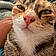 Gumball