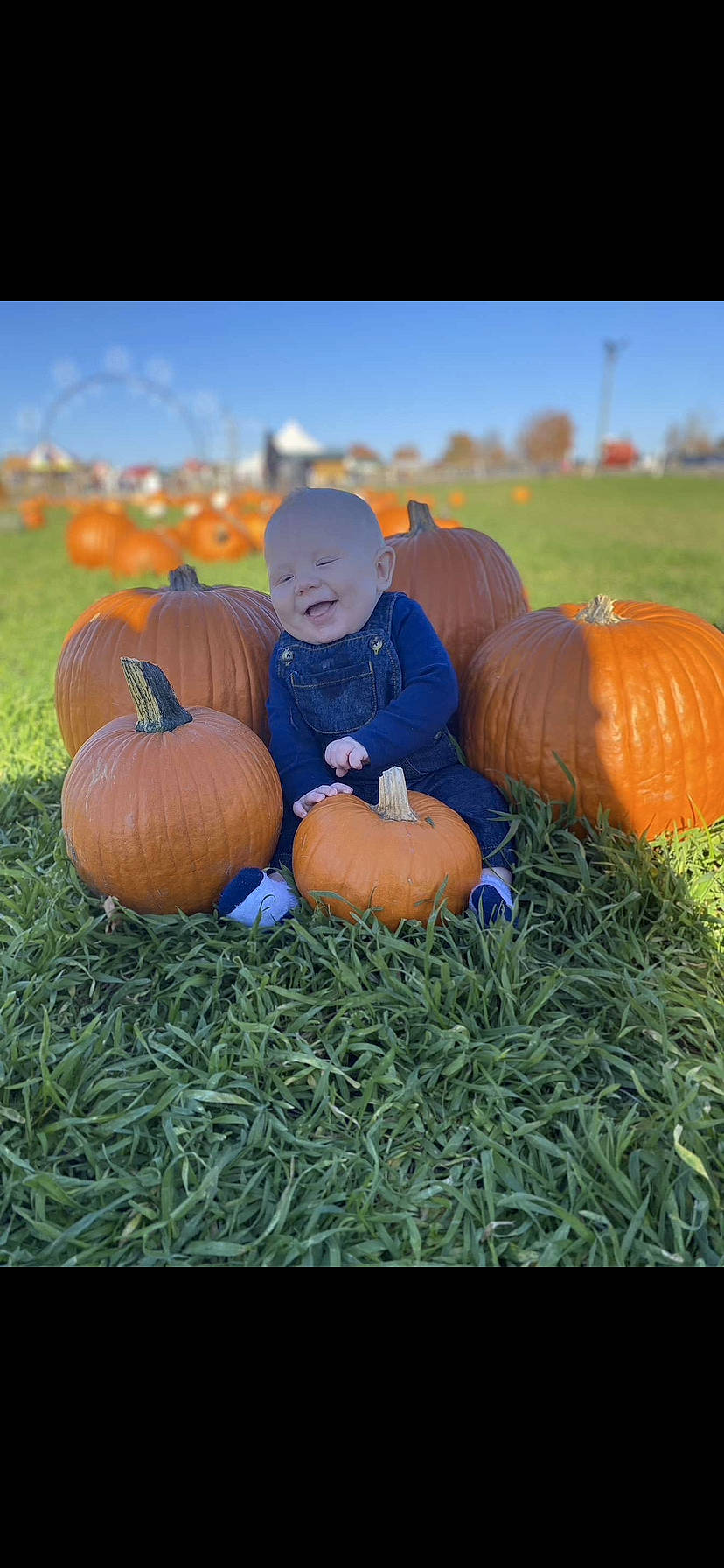 Haiden is registered to the contest to win money with this photo: calabaza, cucurbita, facial_expression, field, gourd, grass, happy, landscape, local_food, natural_foods, people_in_nature, person, plant, pumpkin, sky, smile, squash, toddler, tree, vegetable