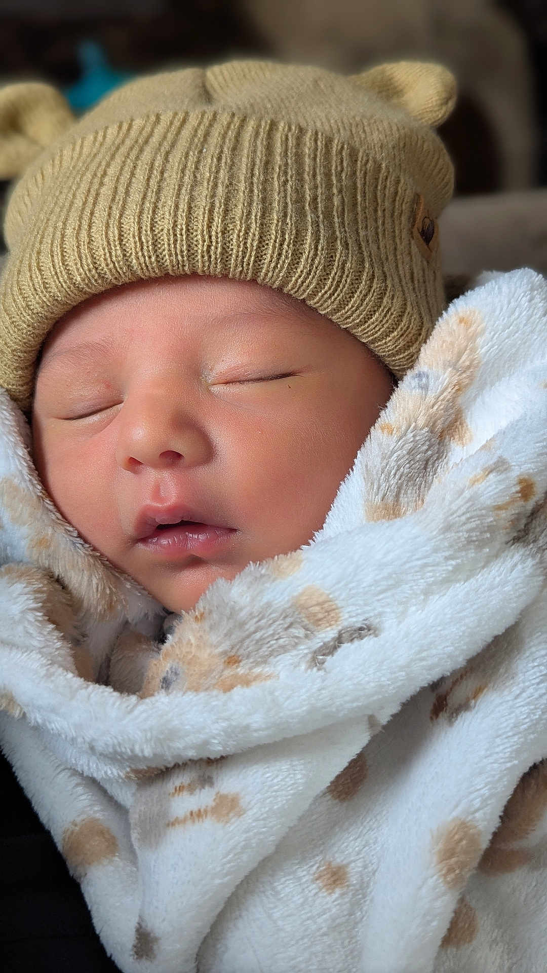 Archer is registered to the contest to win money with this photo: newborn, baby, sleeping, blanket, knitted_hat, cozy, soft, face, closeup, child, infant, cute, peaceful, warm, wrapped, portrait, adorable, skin, headwear, resting