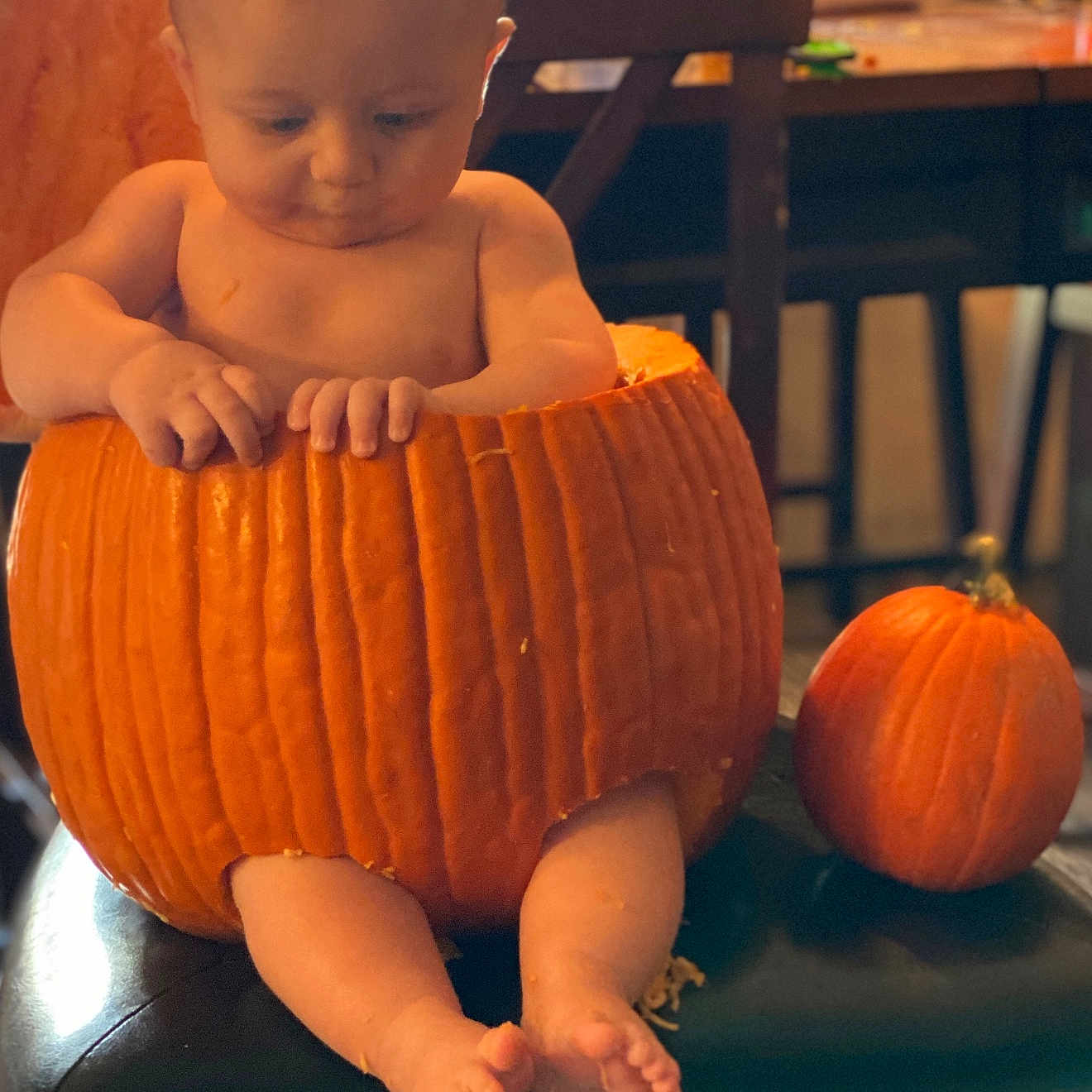 Odin joined the competition — help win amazing prizes! baby, bodypart, face, festival, finger, food, furniture, hand, head, indoors, person, photography, plant, portrait, pottedplant, produce, pumpkin, sitting, squash, vegetable