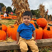 Aiden joined the competition — help win amazing prizes! child, toddler, pumpkin, pumpkin_patch, autumn, fall, corn_stalks, blue_shirt, beige_pants, wooden_ledge, outdoor, nature, harvest, smiling, person, grass, cloudy_sky, festival, seasonal, holiday