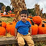 child, toddler, pumpkin, pumpkin_patch, autumn, fall, corn_stalks, blue_shirt, beige_pants, wooden_ledge, outdoor, nature, harvest, smiling, person, grass, cloudy_sky, festival, seasonal, holiday