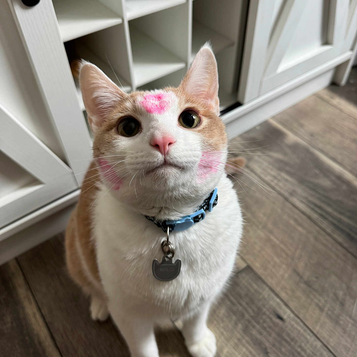 Milo