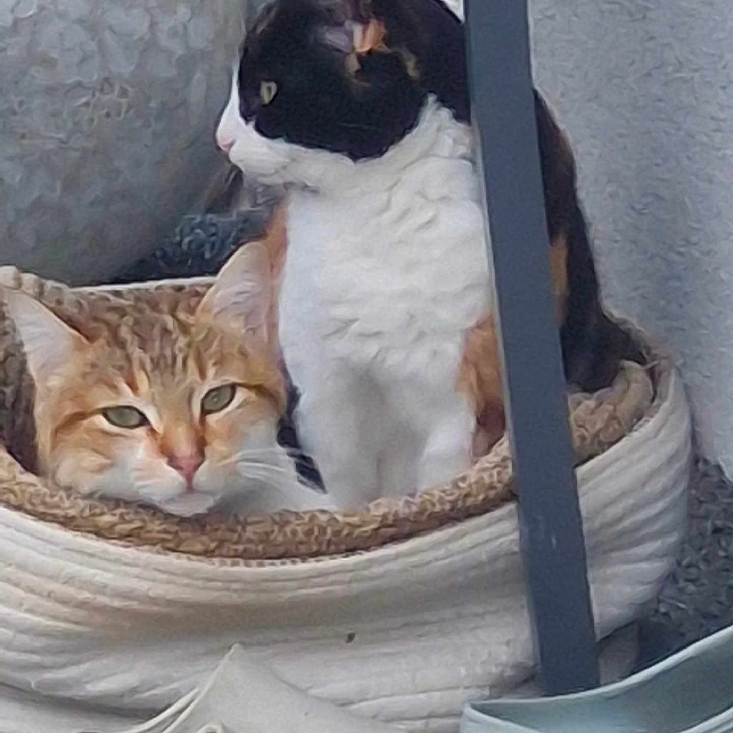 Poupounette