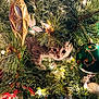animal, cat, celebration, christmas, christmas_tree, closeup, curious, cute, decorations, festive, greenery, holiday, indoor, kitten, lights, nature, ornament, pet, tree_branch, whiskers