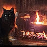 animal, black_cat, brick, cat, cozy, fire, fireplace, flames, fur, glowing_eyes, hearth, home, indoors, night, pet, quiet, relaxing, shadow, sitting, warmth