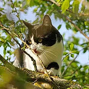 Bouda a rejoint le concours — aidez-le/la à gagner de superbes lots !