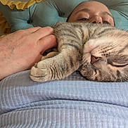 Ivory joined the competition — help win amazing prizes! bracelet, cat, closeup, colorful, comfort, cozy, cushion, face, feline, hand, indoor, person, portrait, relaxation, resting, shirt, sleeping, soft, striped, tabby_cat
