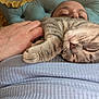 bracelet, cat, closeup, colorful, comfort, cozy, cushion, face, feline, hand, indoor, person, portrait, relaxation, resting, shirt, sleeping, soft, striped, tabby_cat