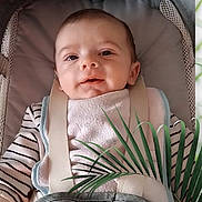 Mathias a rejoint le concours — aidez-le/la à gagner de superbes lots ! baby, infant, face, smile, seatbelt, bib, striped_clothing, baby_seat, indoor, plant, green_leaves, closeup, child, person, portrait, young_child, cute, happy, comfort, safety
