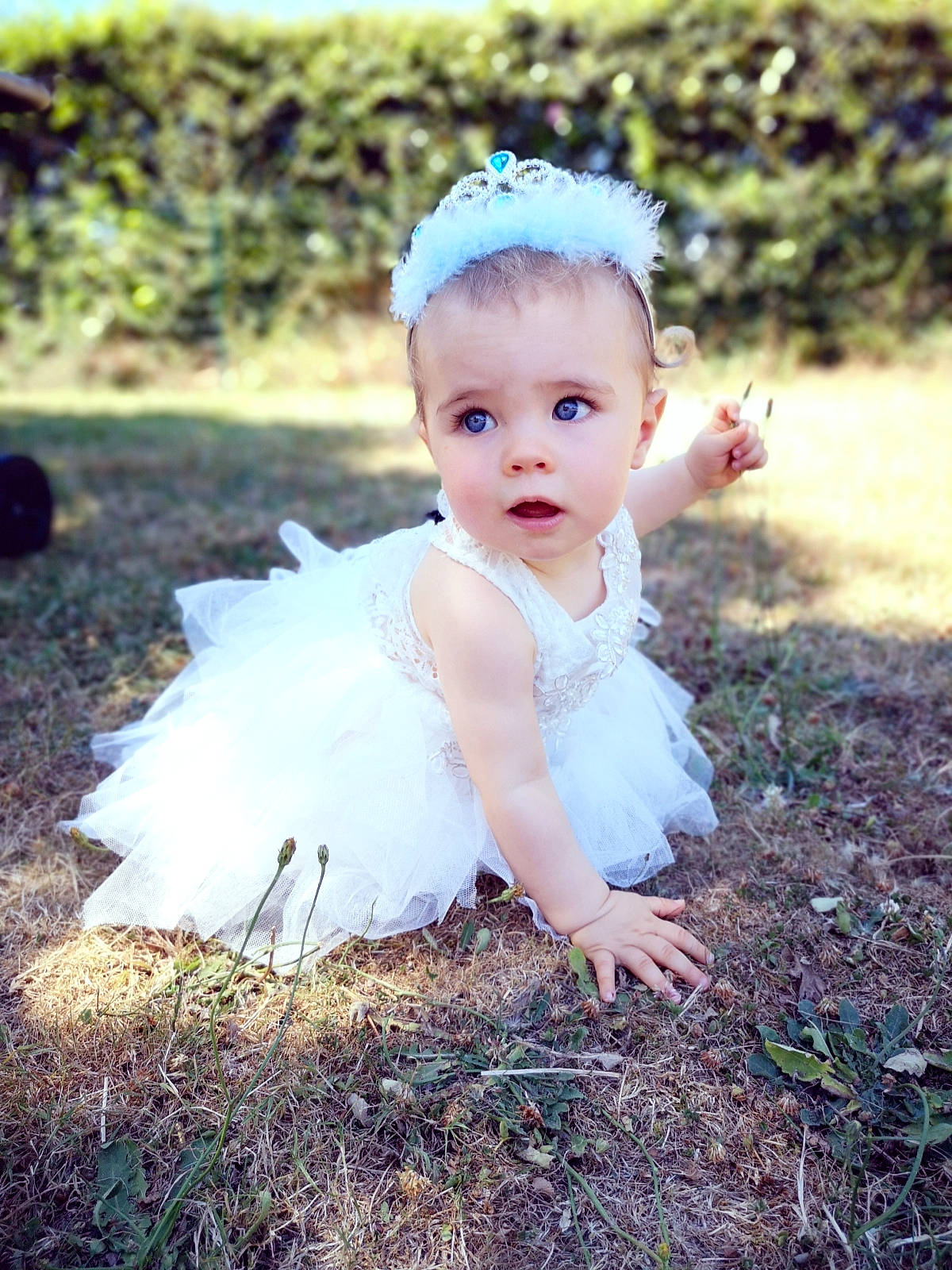 Mélyna participe au concours pour gagner de l'argent avec cette photo : baby, ballet_tutu, child, costume, dress, eye, face, grass, hair_accessory, head, headpiece, leaf, people_in_nature, person, photograph, photography, plant, portrait, skin, surprise