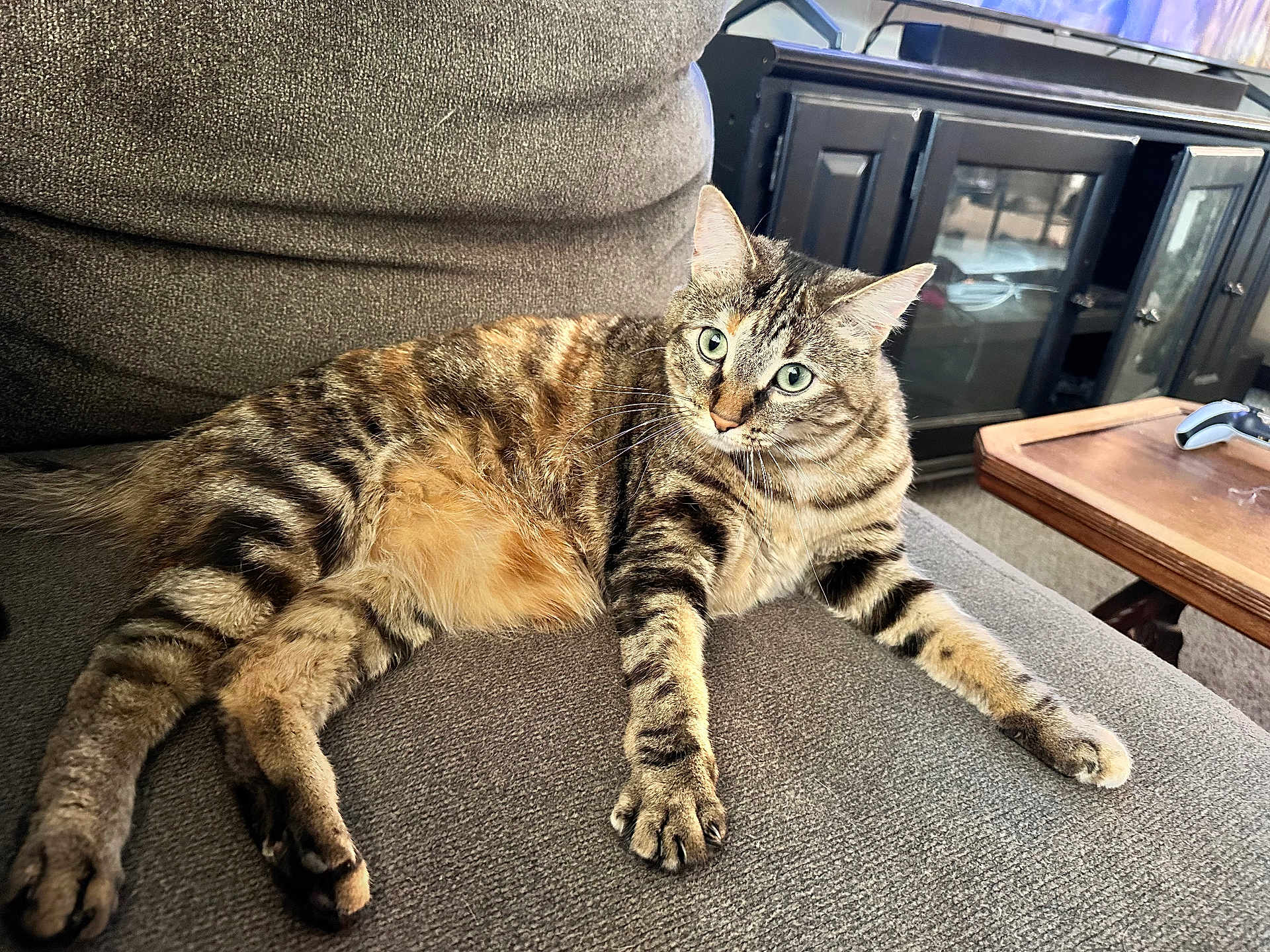 Lily