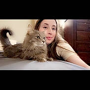 Daisy joined the competition — help win amazing prizes! bed, casual, cat, close_up, companion, cozy, cute, domestic, feline, furniture, gray_cat, indoor, long_hair, lying_down, pet, portrait, relaxed, soft_light, whiskers, woman