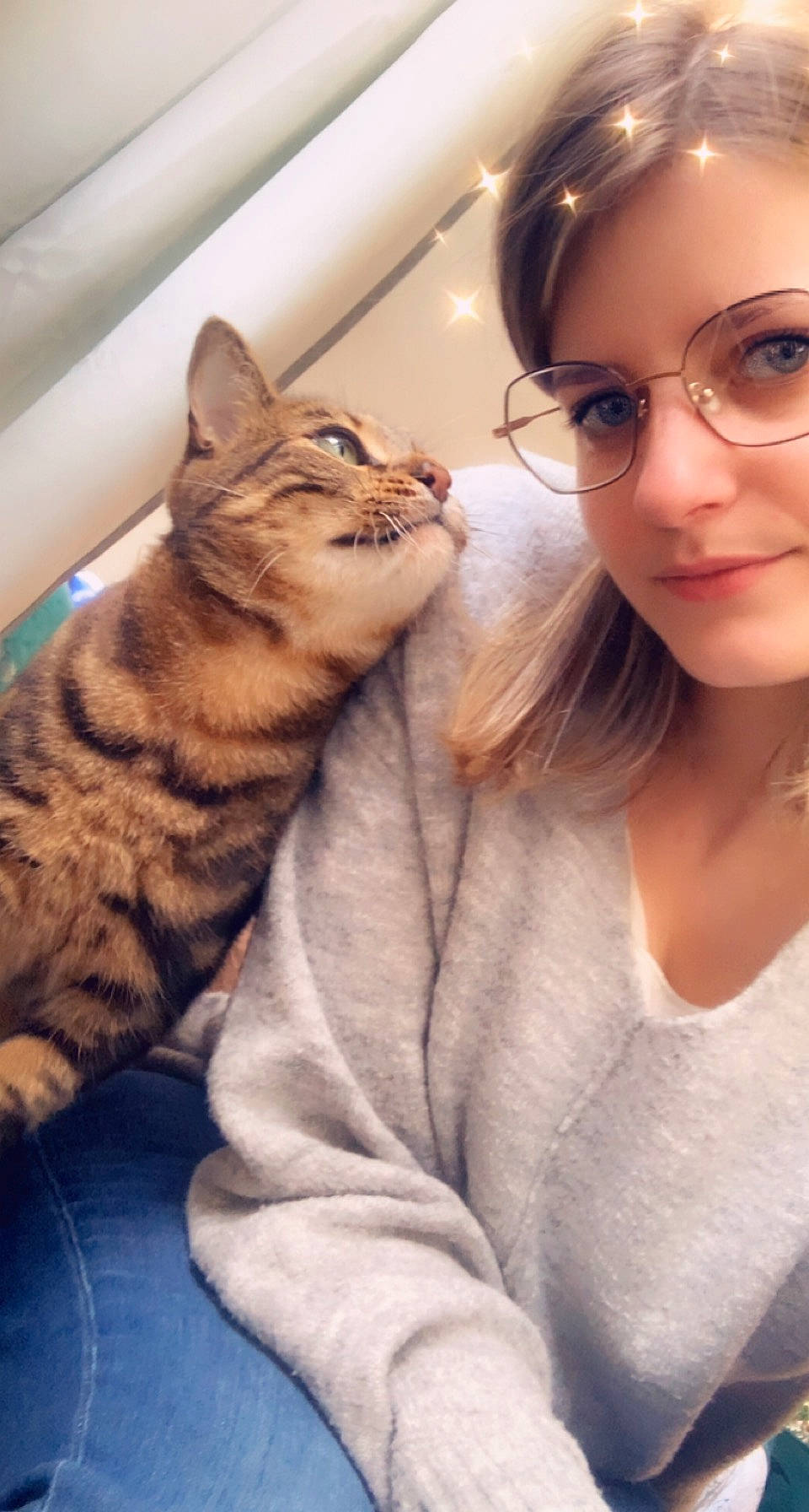 Tom participe au concours pour gagner de l'argent avec cette photo : brown_hair, carnivore, cat, comfort, ear, eyelash, eyewear, fawn, felidae, fur, gesture, happy, head, jaw, nose, paw, small_to_medium_sized_cats, snout, vision_care, whiskers