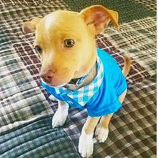 Charlie