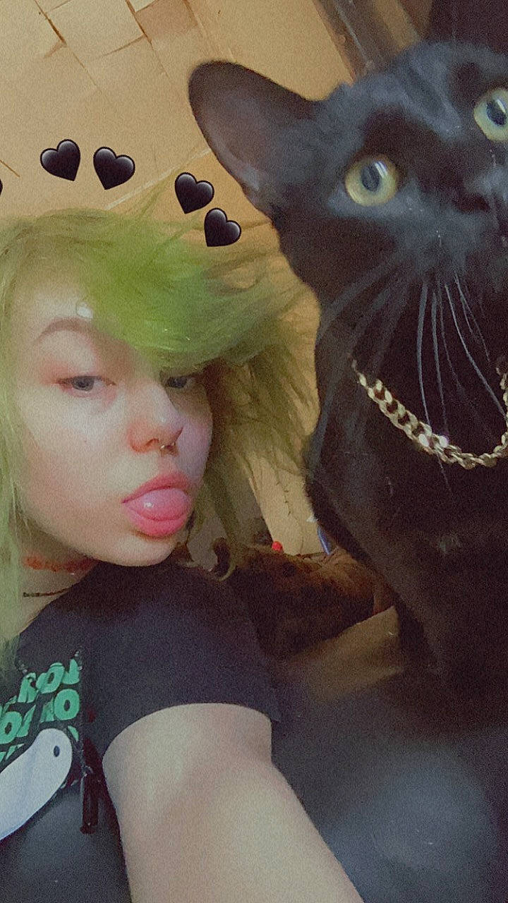 Void joined the competition — help win amazing prizes! art, bangs, cap, carnivore, cat, costume_hat, domestic_short_haired_cat, eyelash, eyewear, fashion_accessory, felidae, fur, happy, personal_protective_equipment, selfie, small_to_medium_sized_cats, snout, sunglasses, terrestrial_animal, whiskers