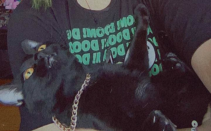 Void joined the competition — help win amazing prizes! active_shirt, advertising, art, dog_breed, font, fur, handwriting, illustration, organism, painting, photo_caption, sleeve, t_shirt, tail, terrestrial_animal, top, vertebrate, visual_arts, working_animal