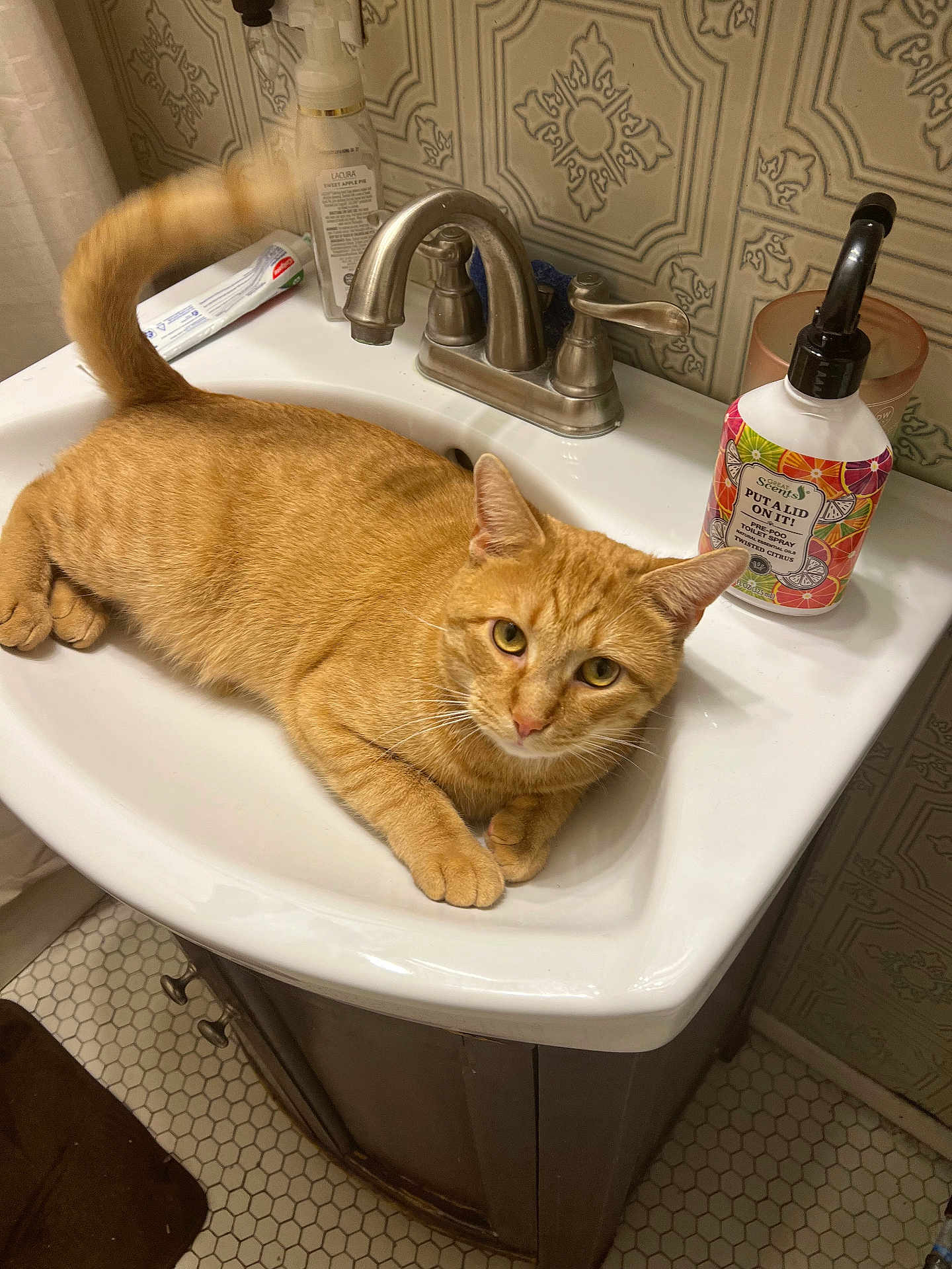Meemo is registered to the contest to win money with this photo: bathroom, cat, claws, closeup, countertop, curled_tail, domestic_animal, faucet, fur, looking_at_camera, orange_cat, paw, pet, relaxing, sink, soap_bottle, tabby, tile_floor, tile_wall, whiskers