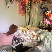 Sweetie Belle joined the competition — help win amazing prizes! anime_poster, bedroom, blanket, cat, cozy, curtain, decor, fire_image, indoor, ivy, pet, pillow, plush, quilt, sleeping, soft_lighting, string_lights, stuffed_animal, television, wall_art