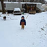 Noah James is registered to the contest to win money with this photo: child, snow, winter_clothing, dog, leash, truck, trailer_home, yard, tree, footprints, flag, wooden_porch, cold_weather, outdoor, person, vehicle, rustic, fence, grass, nature