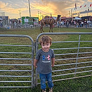 Noah James is registered to the contest to win money with this photo: child, boy, outdoor, sunset, camel, animal, grass, fence, crowd, festival, event, jeans, tshirt, boots, sky, clouds, people, metal, colorful, nature