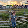 animal, boots, boy, camel, child, clouds, colorful, crowd, event, fence, festival, grass, jeans, metal, nature, outdoor, people, sky, sunset, tshirt