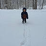 child, clothing, cold, daylight, footprints, forest, hooded_jacket, landscape, nature, outdoor, person, scenery, season, snow, snowfall, trees, walking, weather, winter, young