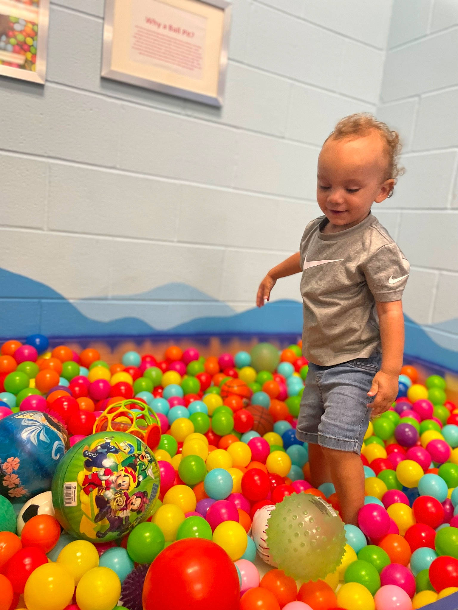 Rayden joined the competition — help win amazing prizes! ball, ball_pit, child, electric_blue, event, fun, leisure, person, picture_frame, plastic, play, playground, recreation, toddler, toy, yellow