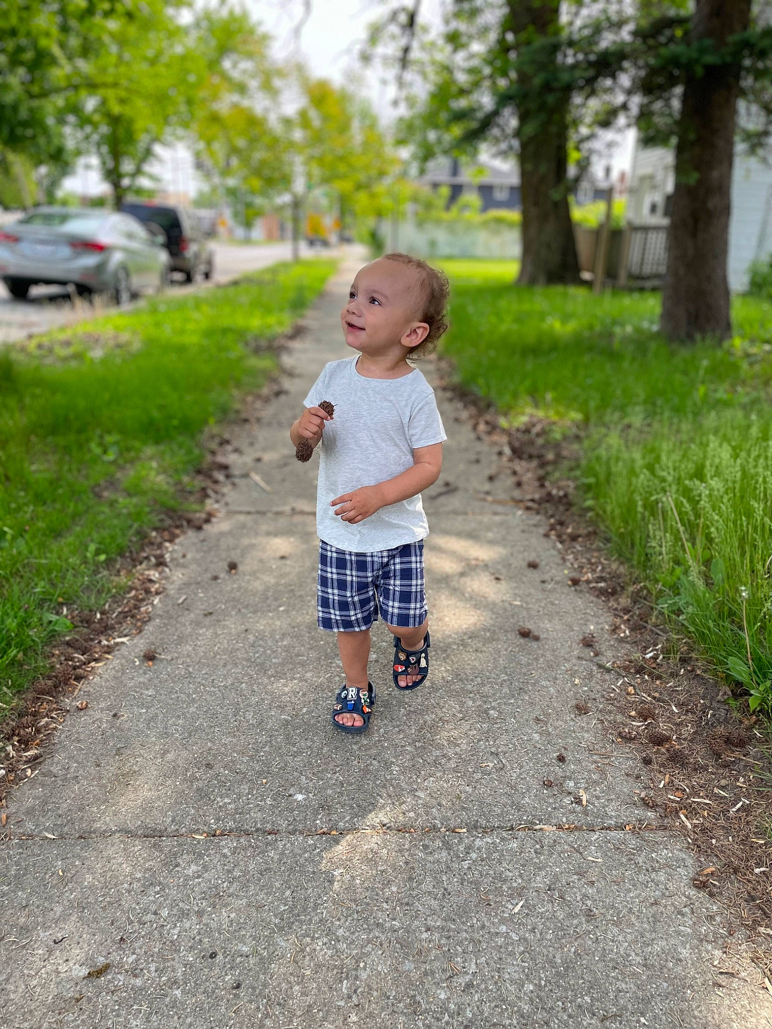 Rayden joined the competition — help win amazing prizes! asphalt, baby, child, fun, grass, joy, landscape, leisure, morning, natural_environment, people_in_nature, person, plant, recreation, road, road_surface, sidewalk, summer, toddler, tree