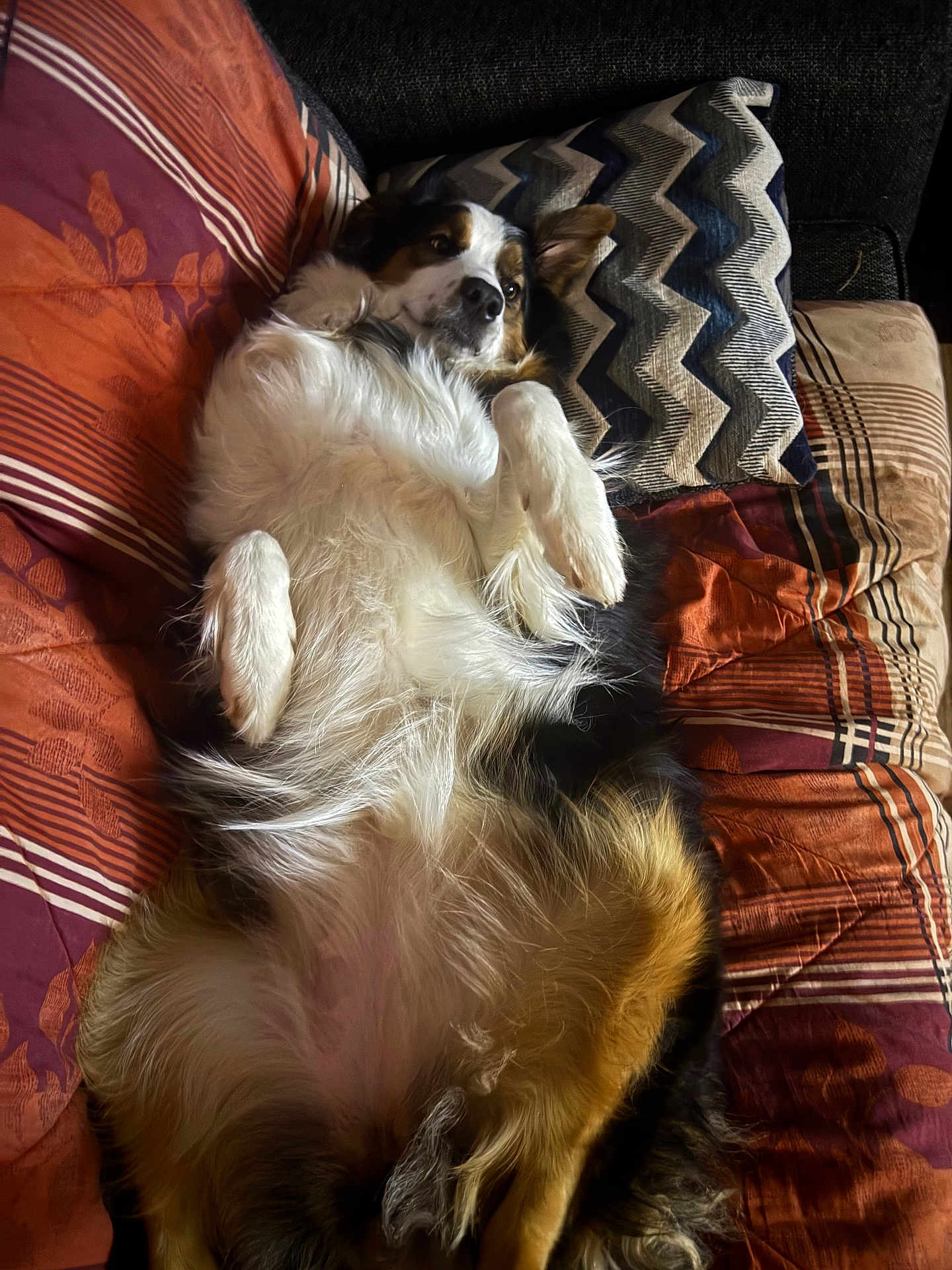 Sadie