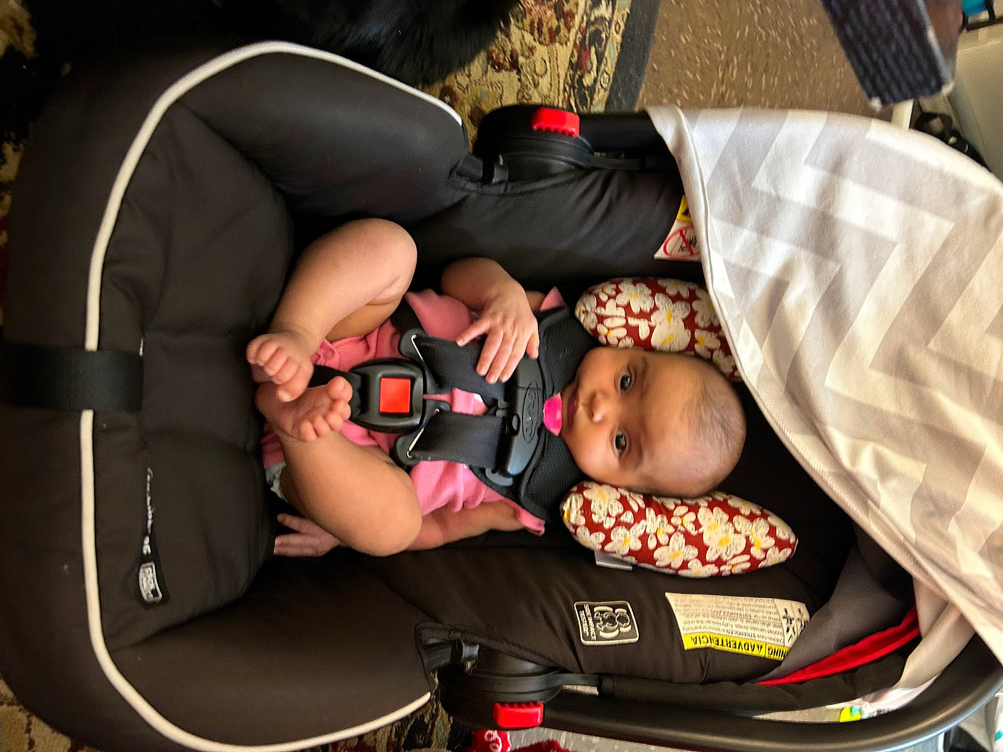 Cassie joined the competition — help win amazing prizes! auto_part, automotive_tire, baby, baby_carriage, baby_products, bag, baggage, car_seat, child, comfort, fun, lap, luggage_and_bags, person, recreation, sitting, thigh, tire, toddler, toy