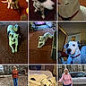Miss Doodle joined the competition — help win amazing prizes! adult, animal, canine, car, clothing, dog, face, female, footwear, head, hound, jeans, pants, person, pet, puppy, shoe, transportation, vehicle, woman