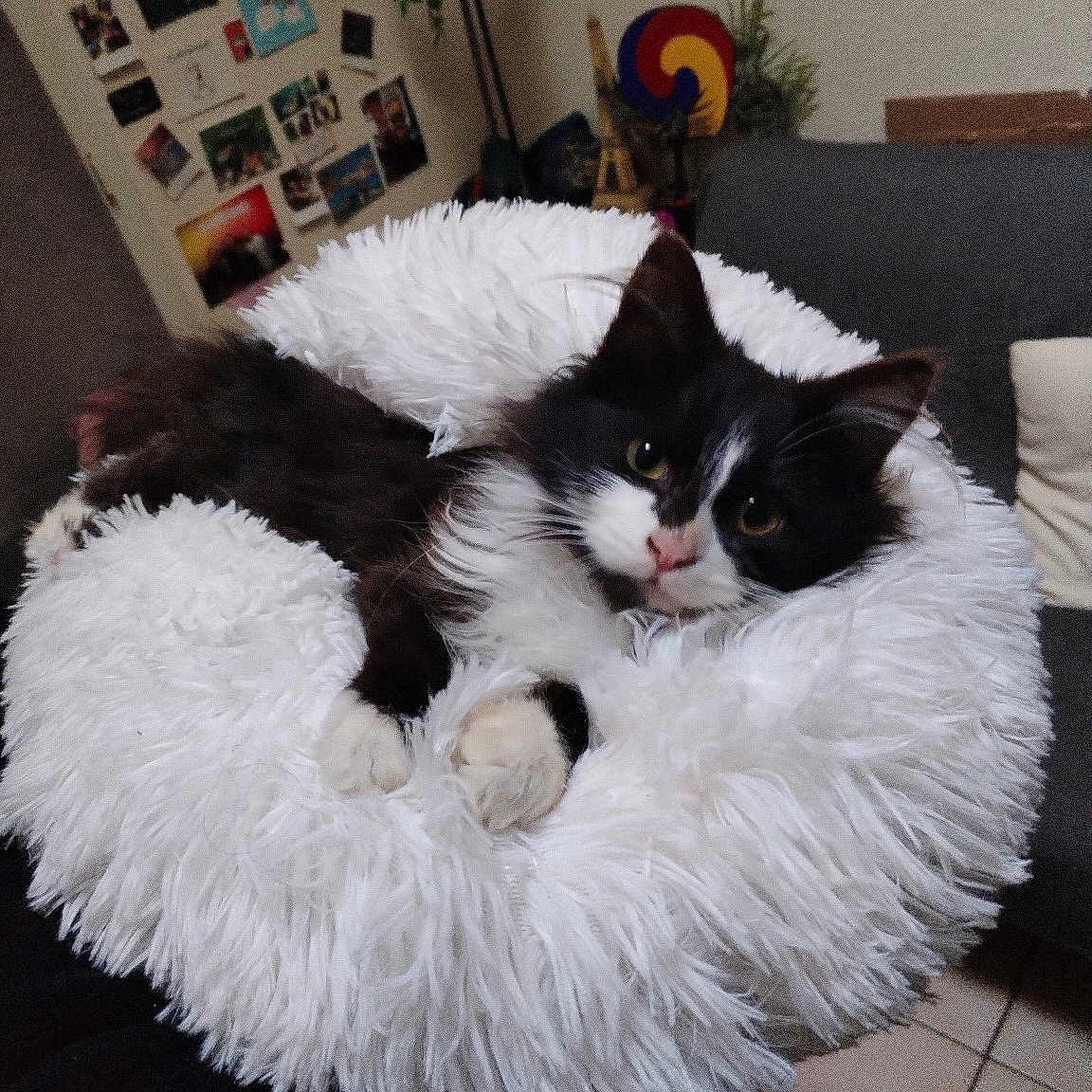 Boulette
