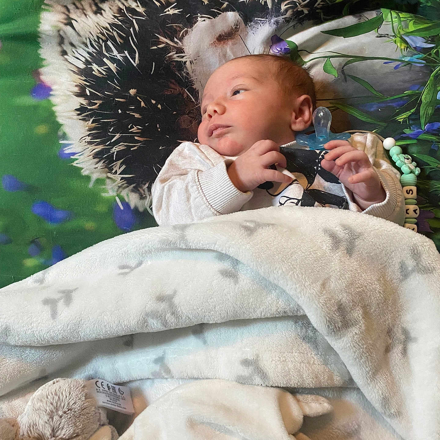 Loukas a rejoint le concours — aidez-le/la à gagner de superbes lots ! architecture, baby, bed, bedroom, blanket, building, couch, cushion, face, furniture, head, homedecor, indoors, newborn, person, photography, portrait, quilt, room, sleeping